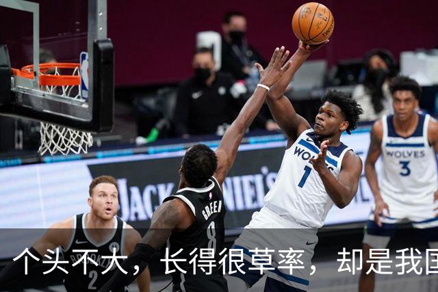 个头不大，长得很草率，却是我国蛇伤数量最多、危害最大的蛇种之一！很多人栽在它身上！