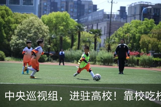 中央巡视组，进驻高校！靠校吃校绝不容忍，教育事业才是国运所在
