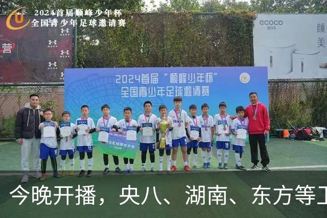今晚开播，央八、湖南、东方等卫视黄金档排播4部大剧，追哪部