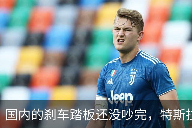 国内的刹车踏板还没吵完，特斯拉已经飞上天了！