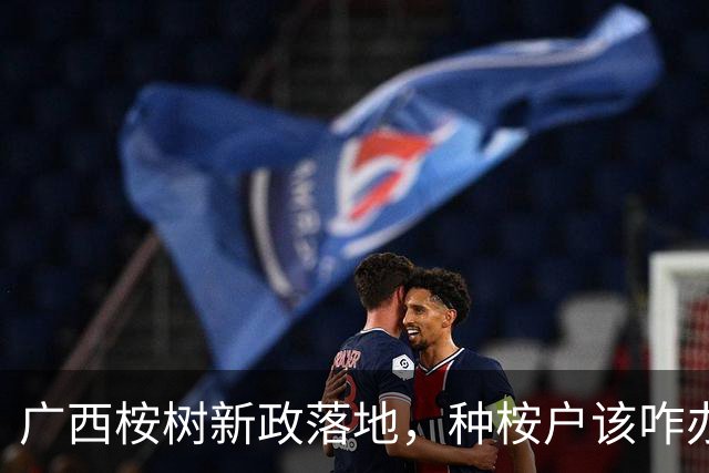 广西桉树新政落地，种桉户该咋办？