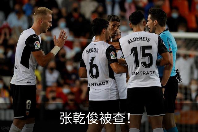 张乾俊被查！