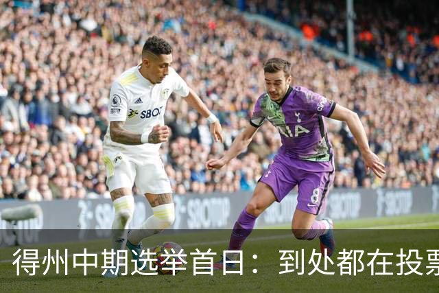 得州中期选举首日：到处都在投票，选民热情高涨
