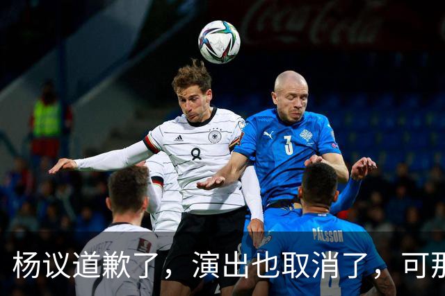 杨议道歉了，演出也取消了，可那句，“误会”，什么都没解决