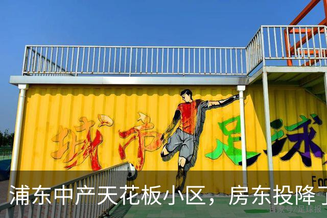 浦东中产天花板小区，房东投降了