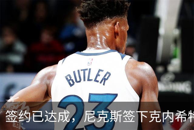 签约已达成，尼克斯签下克内希特，此前湖人队裁掉了这位前首轮秀