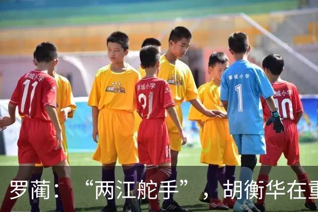 罗蔺：“两江舵手”，胡衡华在重庆的操盘手