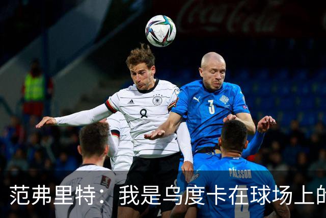 范弗里特：我是乌度卡在球场上的一个翻译 我当老好人他当坏人