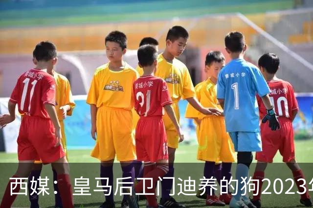 西媒：皇马后卫门迪养的狗2023年伤人一案，将于12月份开庭审理