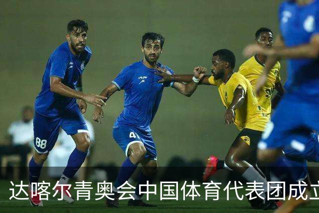 达喀尔青奥会中国体育代表团成立
