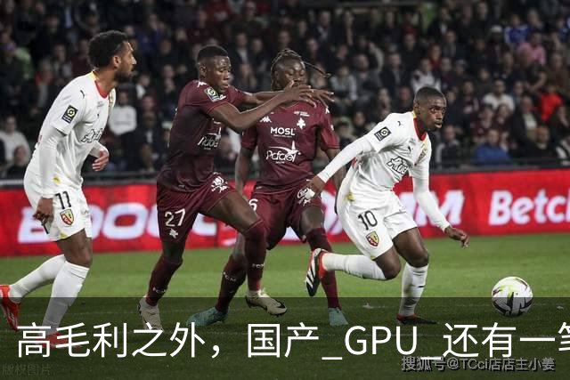 高毛利之外，国产 GPU 还有一笔 “软件账”