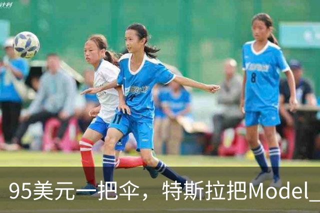 95美元一把伞，特斯拉把Model 3徽标印进了内衬